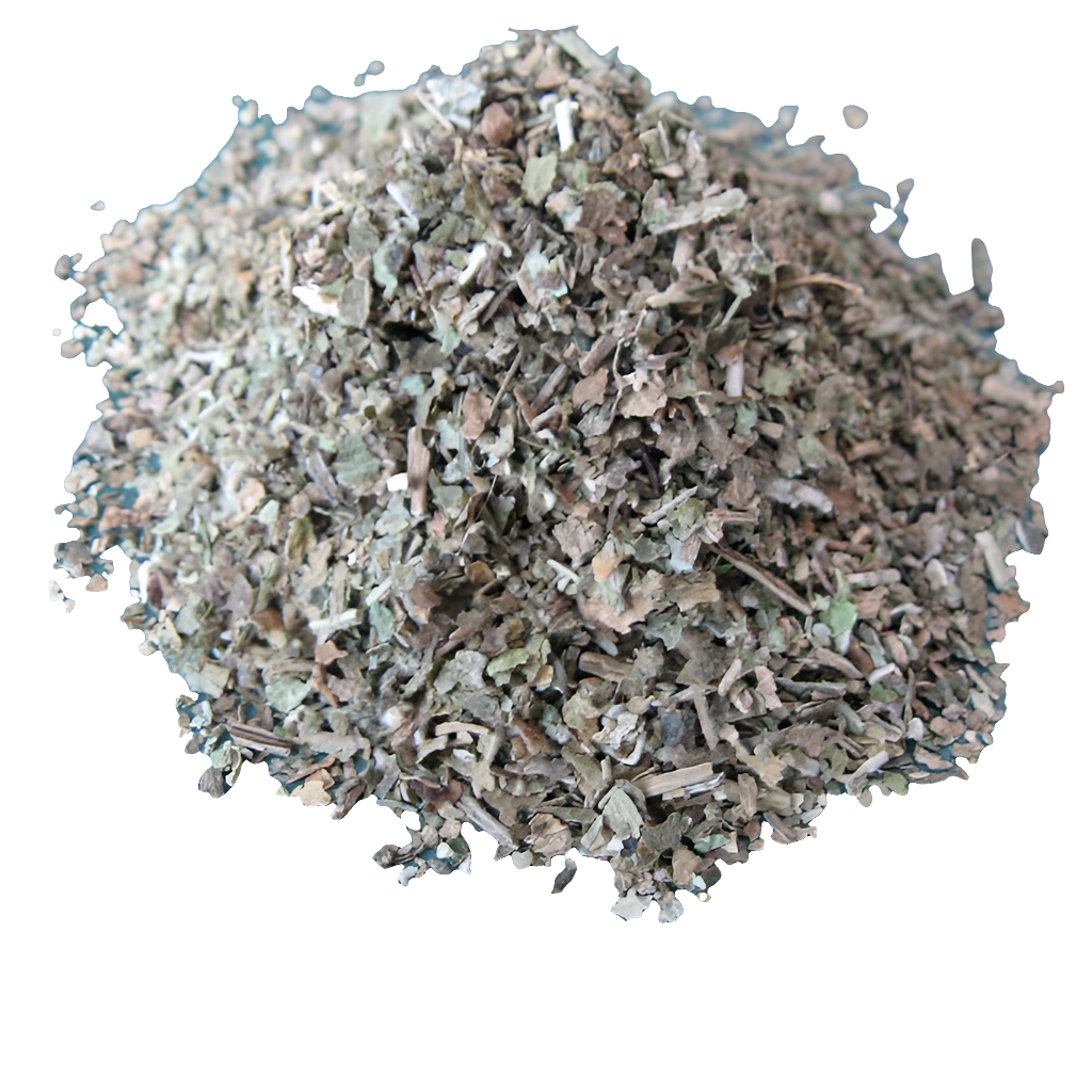Lobelia
