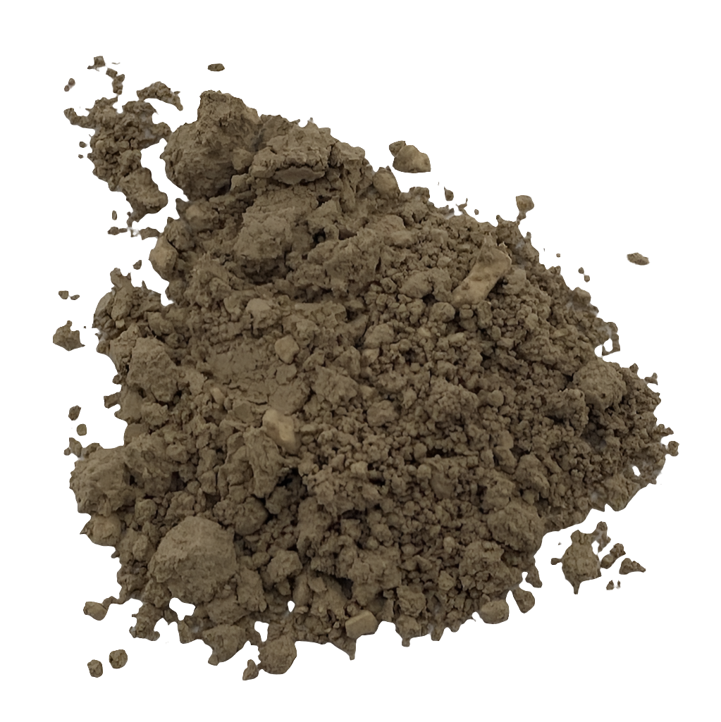 Turkey Tail Powder
