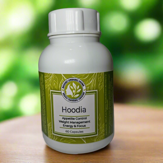 Hoodia Capsules