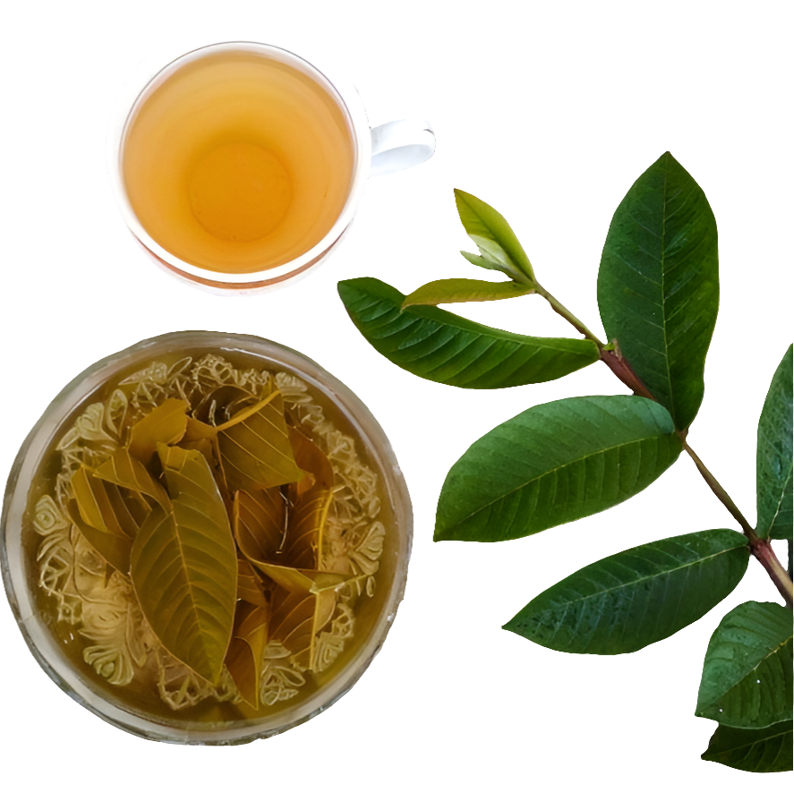 Guava Leaves