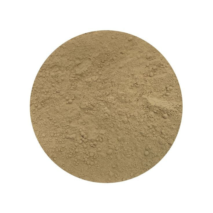 Lions Mane Powder