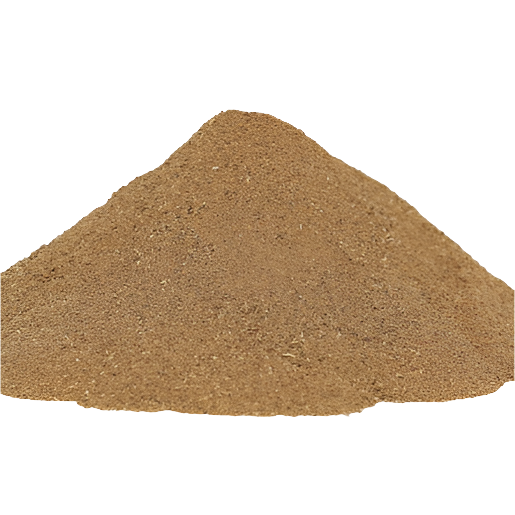 Sarsaparilla