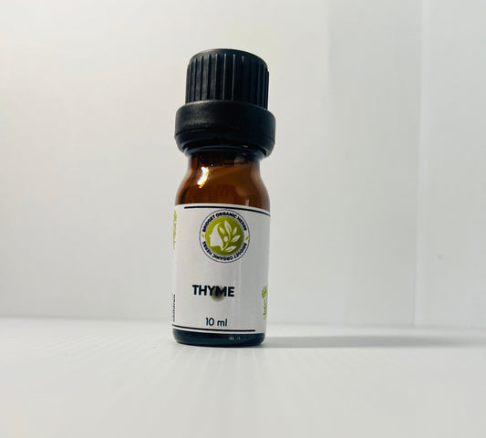 Essential Oil - Thyme