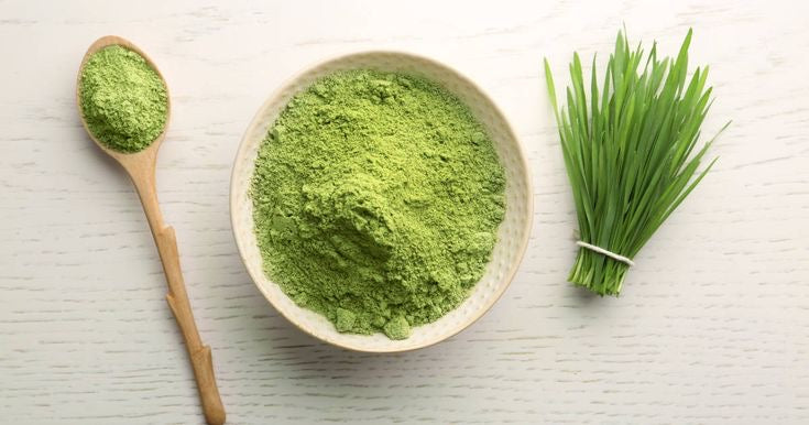 Wheat Grass Powder