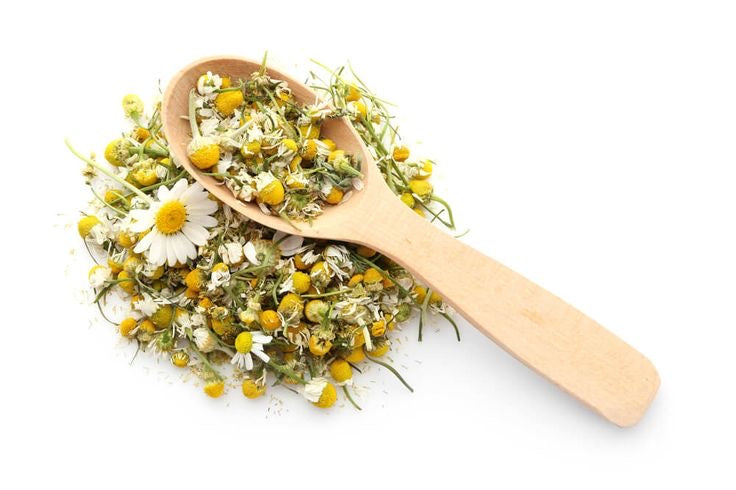 Chamomile Flowers