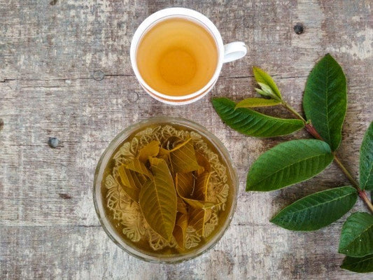 Guava Leaves