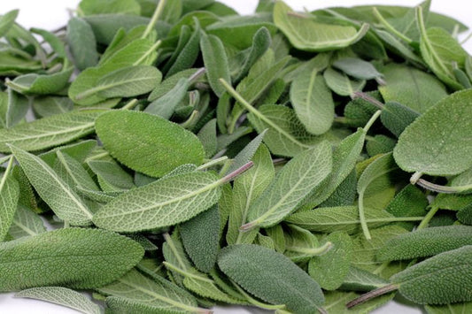 Sage Leaves