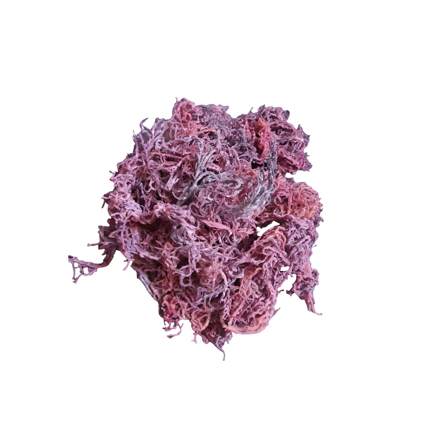 Raw Purple Sea Moss