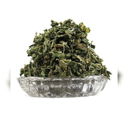 Jamaican Dog Blood Bush - Rare & Limited Stock