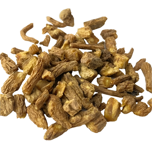 Dong Quai Root