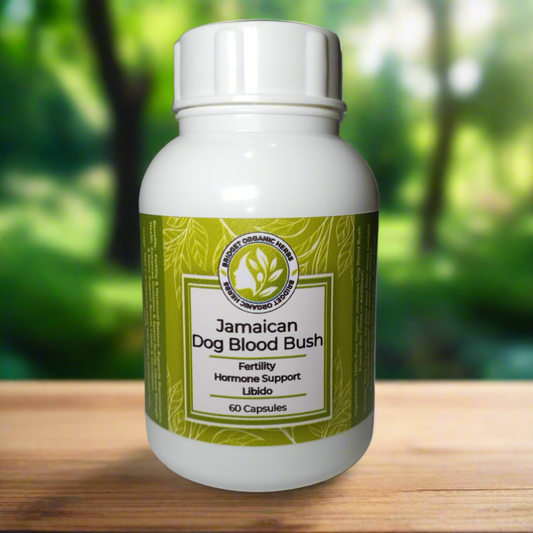 Jamaican Dog Blood Bush  Capsules