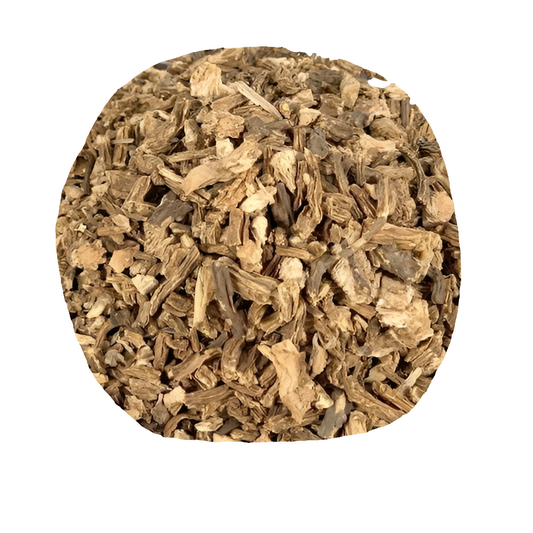 Angelica Root Cut