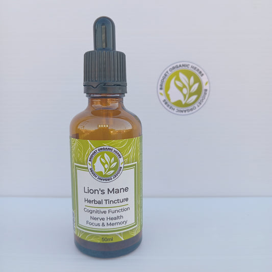 Lion's Mane Tincture