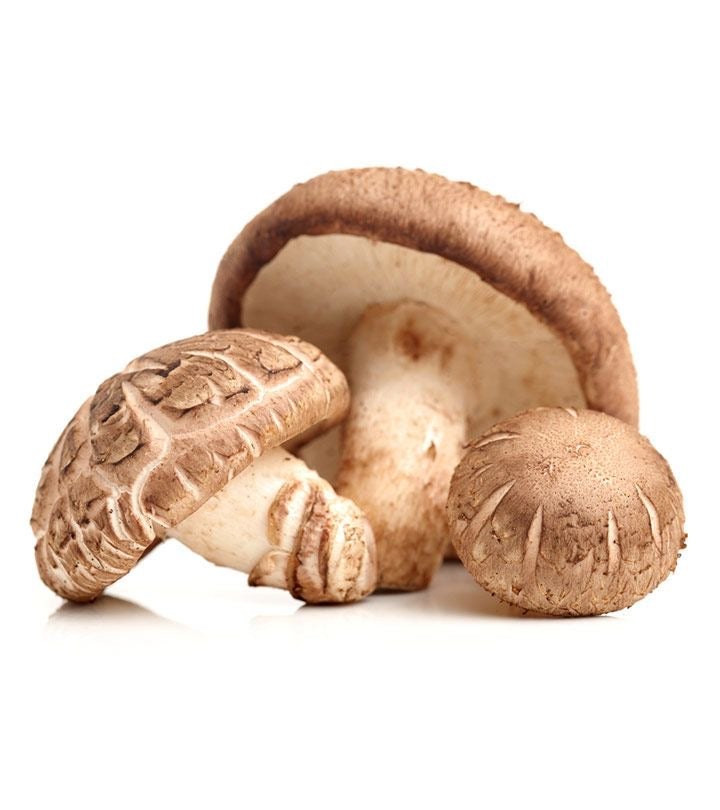 Shiitake Powder