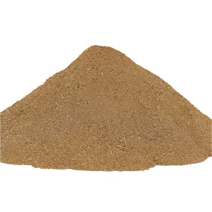 Sarsaparilla