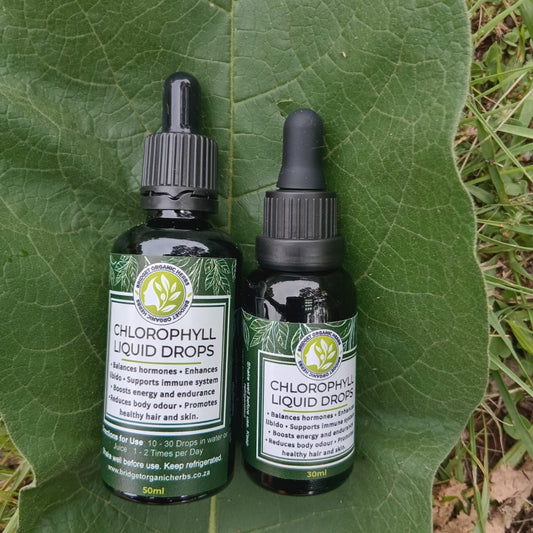 Chlorophyll Liquid Drops