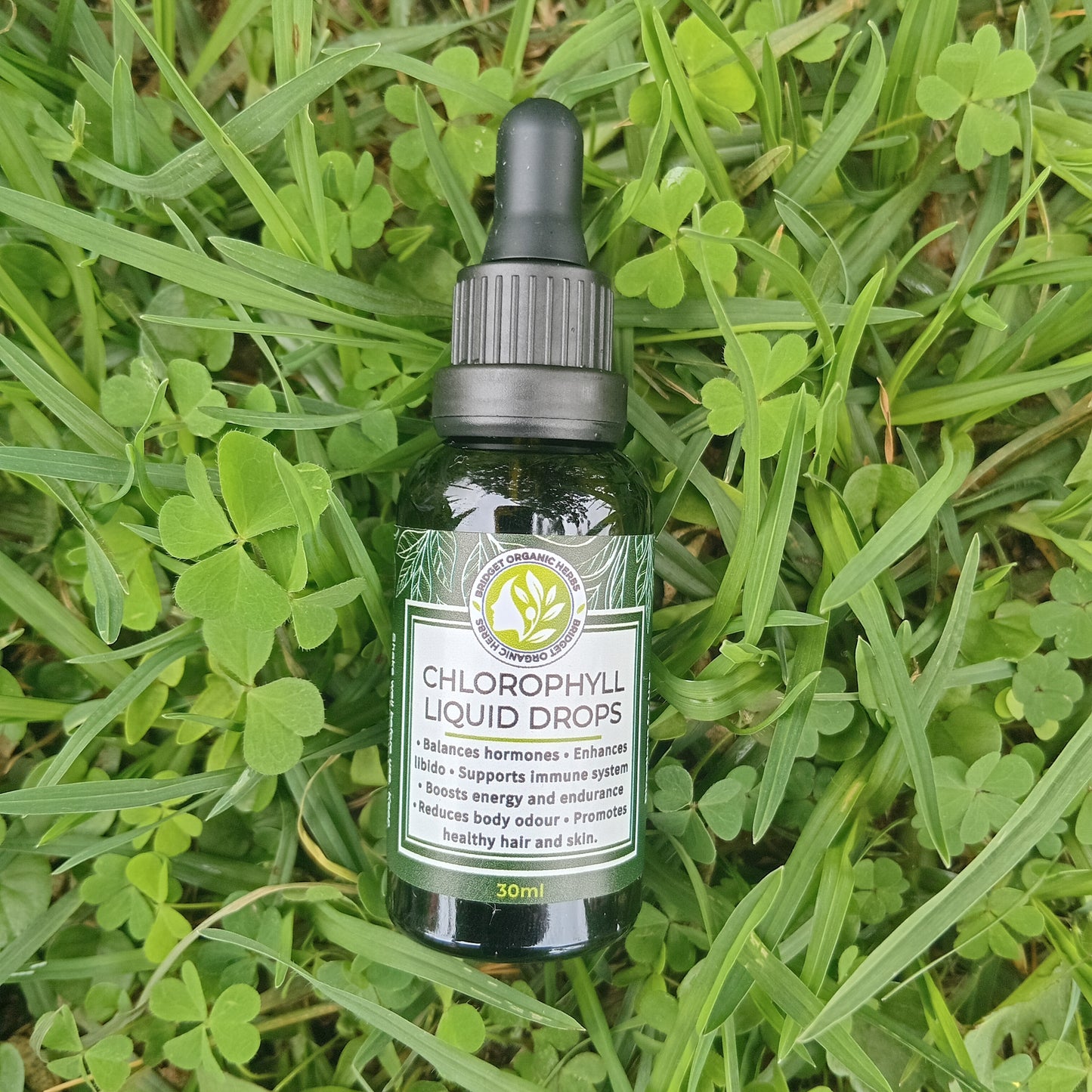 Chlorophyll Liquid Drops