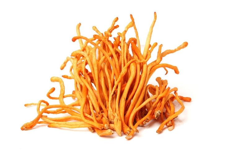 Cordyceps Powder